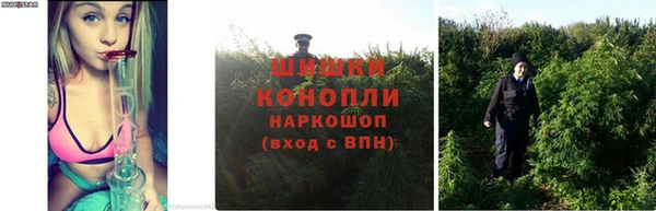 соль курить ск Балабаново