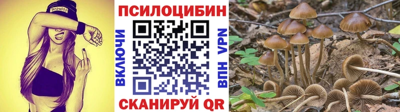 Псилоцибиновые грибы GOLDEN TEACHER  Белореченск 